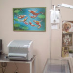 Рентгеновский аппарат Sedecal и рентгенопрозрачный стол Sterlix Basic установлены в ветеринарной клинике в Санкт-Петербурге в ноябре 2017