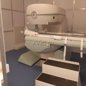 Восстановленный ветеринарный МРТ аппарат G-Scan Brio б/у