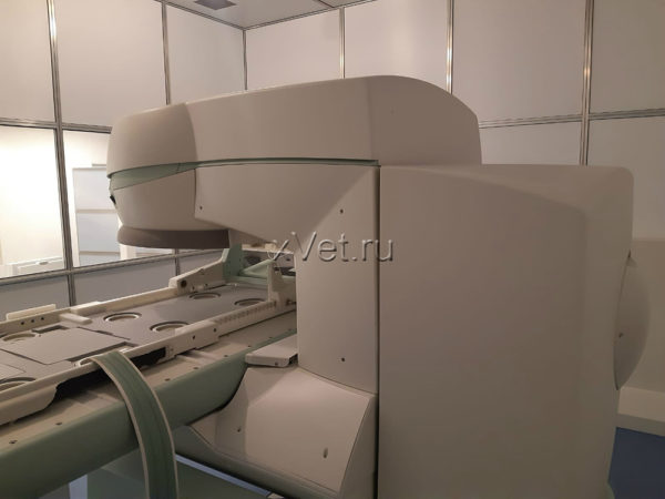 Восстановленный ветеринарный МРТ аппарат G-Scan Brio б/у (вид сбоку)