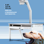 Sedecal Minimal Vet-X -Ветеринарный рентген аппарат со столом для минимального пространства