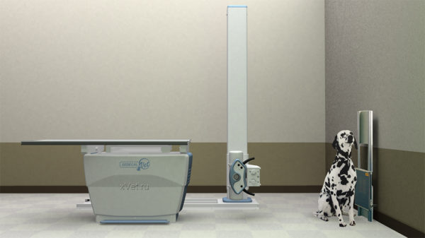 Sedecal Neovet PREMIUM - стационарный ветеринарный рентген аппарат