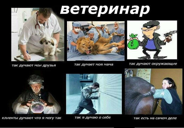 veterinar_demotivator.jpg